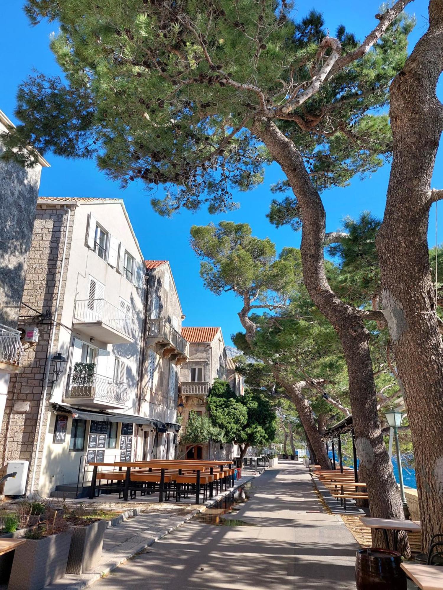 Apartment Korčula Zewnętrze zdjęcie