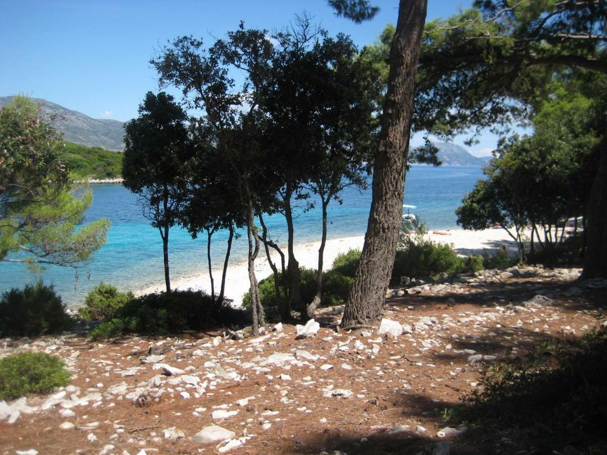 Apartment Korčula Zewnętrze zdjęcie